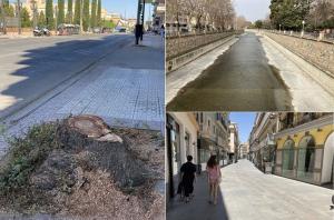 Árboles talados, ríos de hormigón y calles abrasadoras hacen de Granada una ciudad muy poco saludable. 