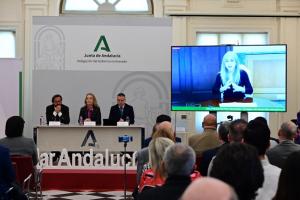 Reunión del Consejo Escolar en la que Del Pozo ha participado por videoconferencia.