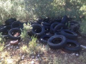 Imagen de los neumáticos acumulados en un paraje del espacio protegido.