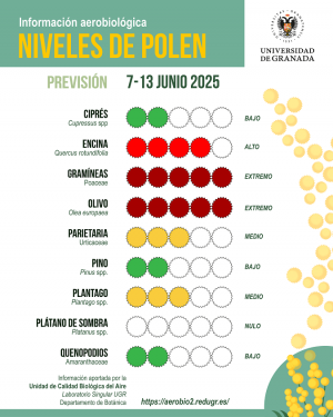 Niveles de polen en Granada. 