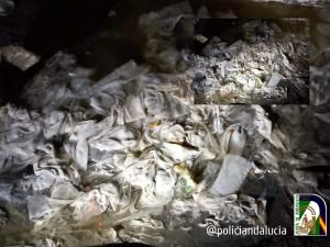 Cauce del Darro lleno de toallitas y otros residuos similares.