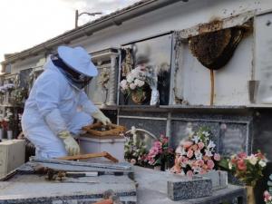 Imagen distribuida por el  Ayuntamiento de Maracena de las tareas en el cementerio.