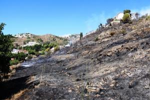 Vista de la parcela afectada por el incendio.