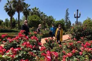 Los rosales del Parque García Lorca están ahora en esplendor. 