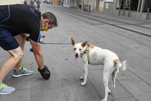 Las cacas de los perros se podrán identificar para sancionar al dueño que no las recoja.