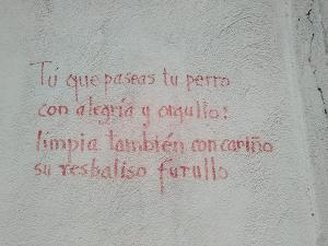 Pintadas en el Albaicín denunciadas por los vecinos.