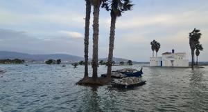 Estado de la Playa de Poniente.