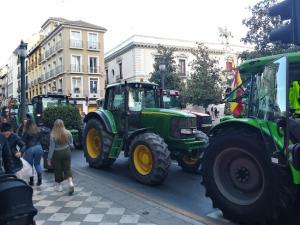 A media tarde había estacionados 111 tractores en el tramo de Reyes Católicos, con un peso medio de 6 toneladas por vehículo.