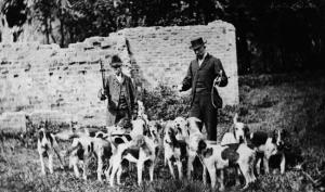 Rehala de sabuesos ingleses, importados de Gran Bretaña, durante una cacería del zorro en el Soto, hacia 1880.