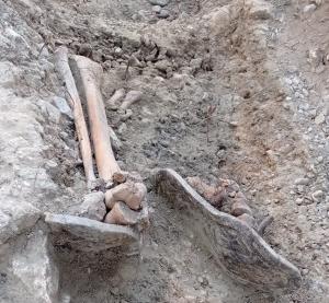 Uno de los restos óseos hallados, junto a la alpargatas que llevaba cuando fue asesinado.