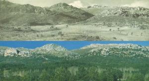 Comparación de cómo ha evolucionado el bosque en la zona de las Mimbres (Sierra de Huétor) desde 1958 a 2001.