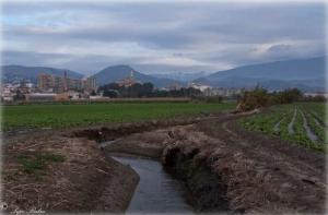 Acequias tradicionales en la vega de Motril. 