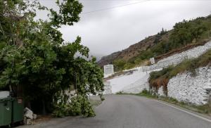 El viento sopló este viernes con fuerza en la Alpujarra, donde dejó ramas de árboles caídas.