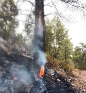 Imagen que muestra cómo la caída de un rayo ha originado el fuego.