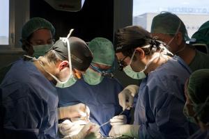 Operación de trasplante en un hospital andaluz. 