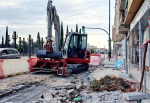 Restos de la tala en las obras de Arabial. 