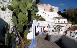 Detalle del Barrio del Sacromonte.