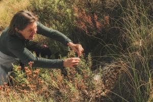 Trabajos de regeneración de ecosistemas. 