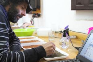 Trabajo en su laboratorio de biotecnología de semillas. 