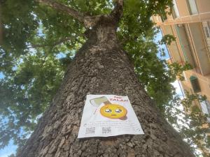 Carteles en los árboles para expresar el rechazo a la tala.