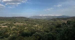 Entorno en el que se proyecta esta nueva planta fotovoltaica.