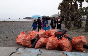 Residuos recogidos en la playa de Fuentepiedra. 