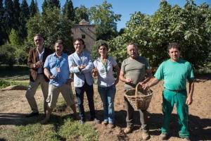 Presentación del cultivo de azafrán en el Generalife. 
