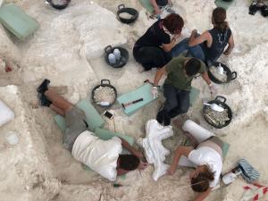 Trabajos arqueológicos en Orce.