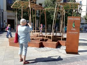 Una viandante toma una fotografía de la obra instalada en la Plaza del Carmen.