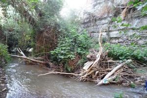 Estado de la muralla nazarí entre el cauce del Darro y el Palacio de los Córdova.