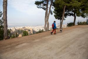 El camino, reparado, con sus bellas vistas a la Alhambra y la ciudad. 