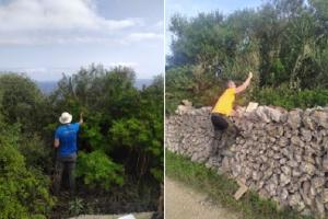 Recolección de semillas de olivo silvestre para guardarlas en el búnker de Noruega.