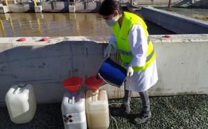 Toma de muestras de aguas residuales para realizar el estudio. 