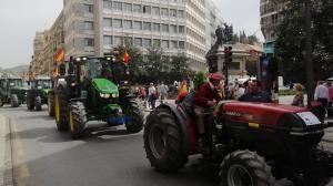 Los tractores a su entrada a Reyes Católicos. 