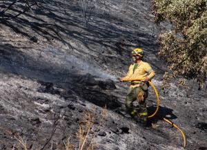 Un bombero del Infoca trabaja en la extinción de un fuego en Polopos el pasado verano.