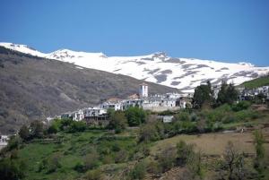 Imagen del bello pueblo alpujarreño.