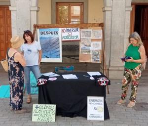Mesa de recogida de firmas frente al Ayuntamiento de Albolote. 