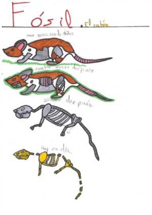 Algunos de los dibujos han sorprendido por su calidad y la manera de interpretar el hallazgo.