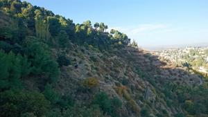 Ladera de la Dehesa del Generalife junto al Valle del Darro, con el Albaicín y Sacromonte al fondo