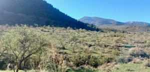 Terrenos de El Enjambre, en Órgiva, donde se ubicará la planta fototoltaica de Disposol.