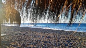 Los chiringuitos piden que las playas estén en condiciones todo el año. 