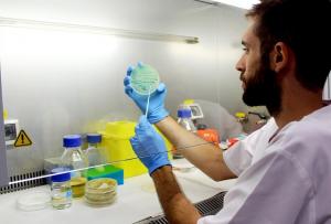 Un investigador en el laboratorio.