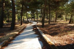 Sendero de Narváez del Parque Natural Sierra de Baza.