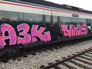 Tren vandalizado con pintadas. 