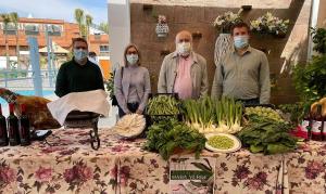 Presentación de las XXIV Jornadas del Haba Verde.