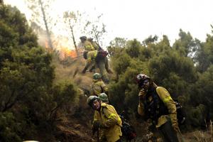 Bomberos forestales actúan en un incendio.