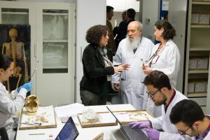 El laboratorio que dirige Miguel Botella reúne más de 5.000 esqueletos de todas las épocas, desde el Neolítico.