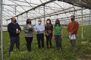 La delegada de Agricultura (segunda por la izquierda), en un invernadero.