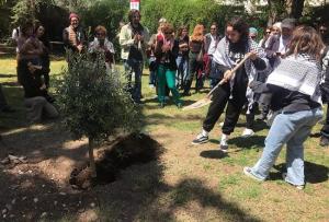 Imagen de archivo de la plantación de un olivo en solidaridad con Palestina en el campus universitario de Fuentenueva.