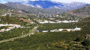 Cultivos de subtropicales en el valle del Río Verde, en Almuñécar.